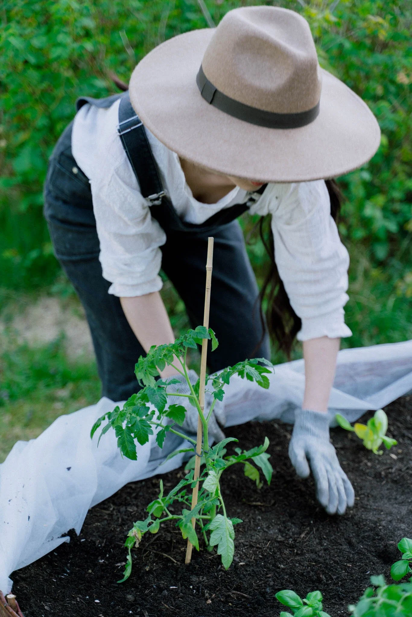 Transforming My Empty Backyard into a Heavenly Vegetable Garden
